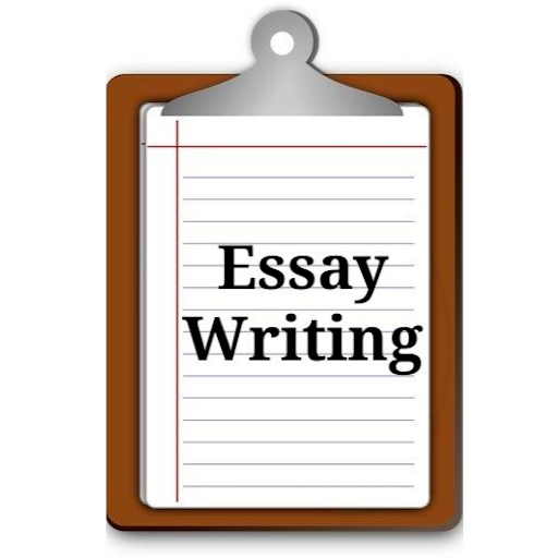 Essay Writing: Structuring Your Paragraphs